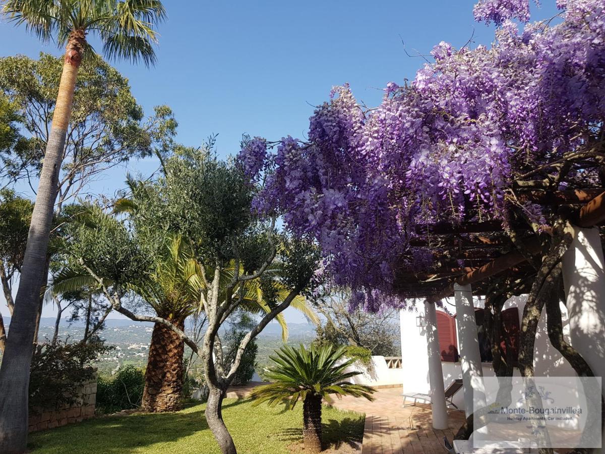 Monte-Bougainvillea Azinheiro Extérieur photo